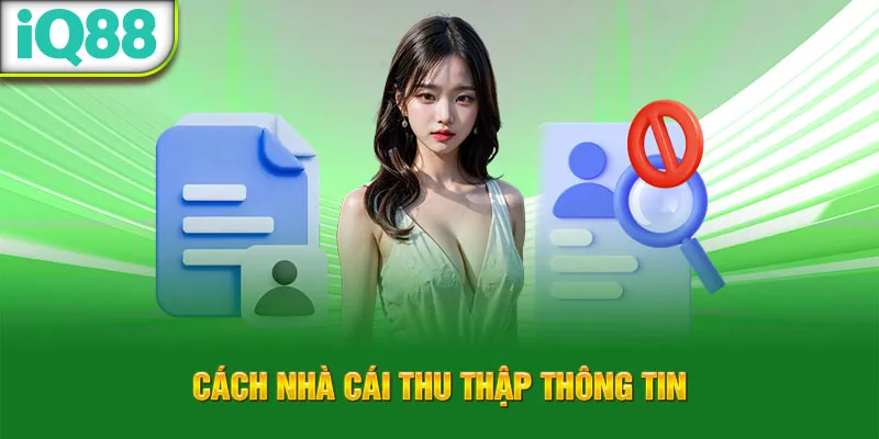 cach-nha-cai-thu-thap-thong-tin_37_11zon