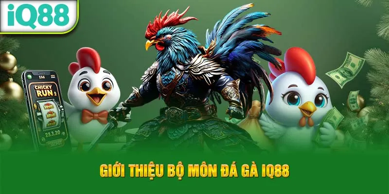 cach-tham-gia-ca-cuoc-da-ga-tai-nha-cai_55_11zon