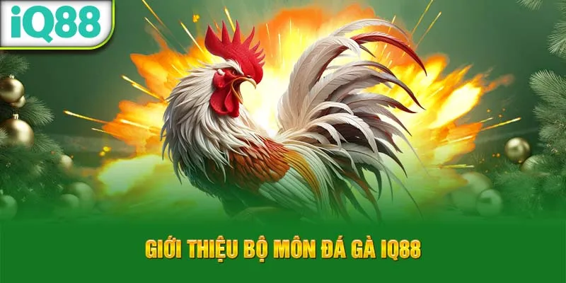 gioi-thieu-bo-mon-da-ga-iq88_61_11zon