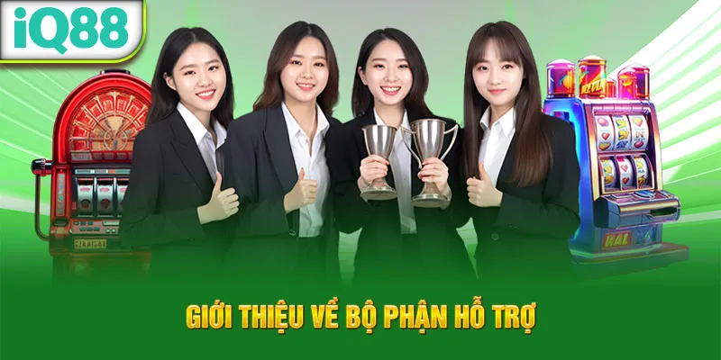 gioi-thieu-ve-bo-phan-ho-tro_6_11zon