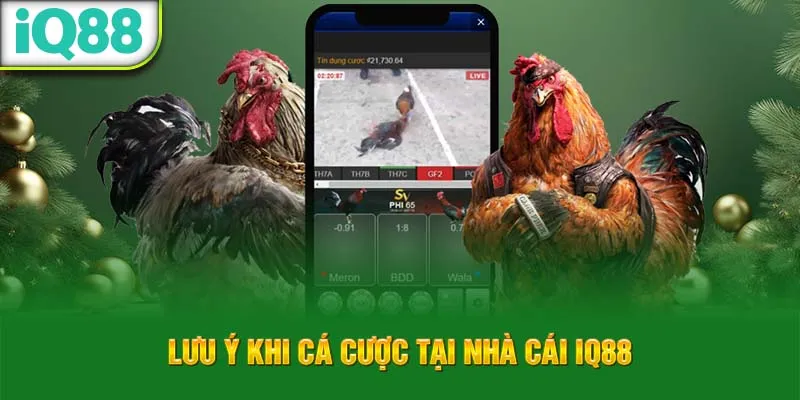 luu-y-khi-ca-cuoc-tai-nha-cai-iq88_64_11zon