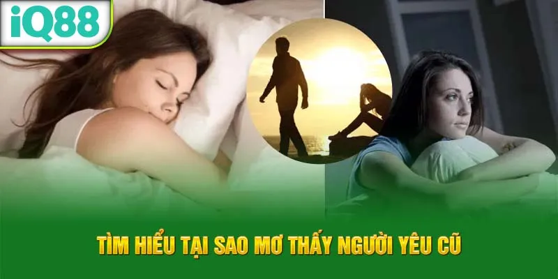 tim-hieu-tai-sao-mo-thay-nguoi-yeu-cu_77_11zon