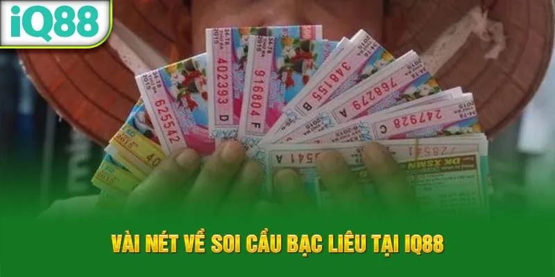 vai-net-ve-soi-cau-bac-lieu-tai-iq88_47_11zon